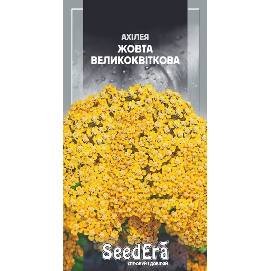 Насіння квіти Ахілея Жовта Seedera 0.1 г