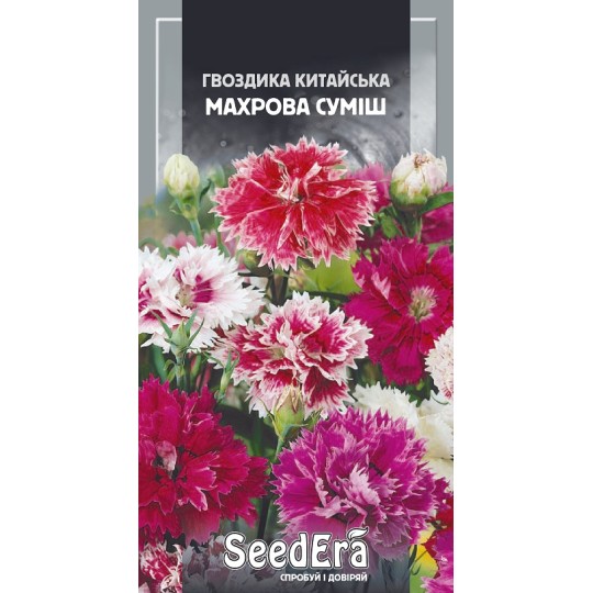 Насіння квіти Гвоздика китайська Махрова суміш Seedera 0.2 г