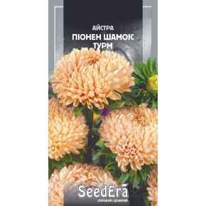 Семена цветы Астра Пионен Шамоис Турм Seedera 0.25 г