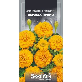 Семена цветы Бархатцы Абрикос Примо Seedera 0.5 г