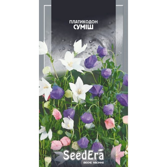 Семена цветы Платикодон крупноцветковый смесь Seedera 0.1 г