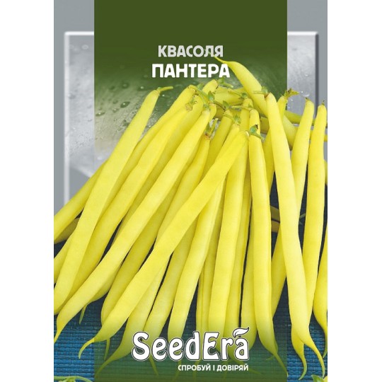 Насіння квасоля спаржева кущова Пантера Seedera 20 г