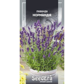 Насіння квіти Лаванда Нормандія Seedera 0.1 г
