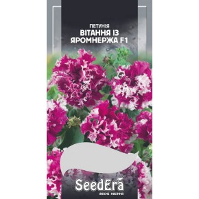 Насіння квіти Петунія бахромчаста Вітання із Яромнержа F1 Seedera 10 штук