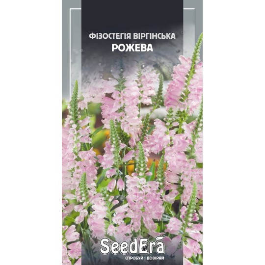 Насіння квіти Фізостегія віргінська рожева Seedera 0.1 г