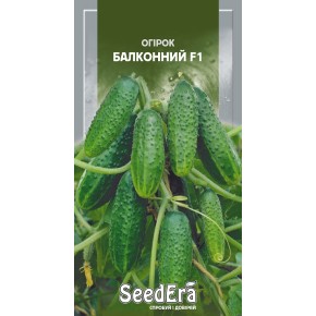 Семена огурец Балконный F1 Seedera 10 штук