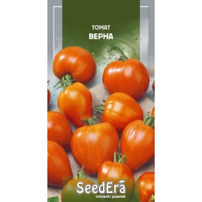 Насіння томат Верна Seedera 0.1 г