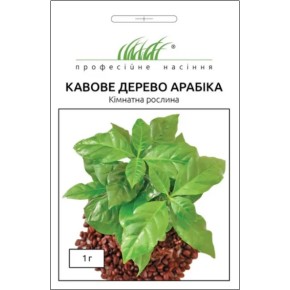 Насіння Кавове дерево Арабіка Професійне насіння 1 г