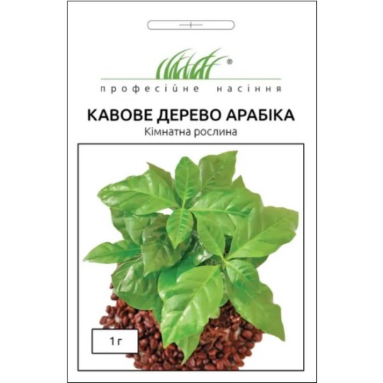 Насіння Кавове дерево Арабіка Професійне насіння 1 г