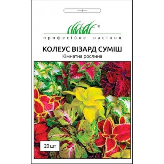 Насіння квіти Колеус Візард суміш Професійне насіння 20 штук