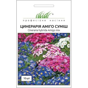 Семена цветы Цинерария гибридная перикаллис Амиго смесь Профессиональные семена 10 штук