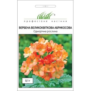 Насіння квіти Вербена абрикосова Професійне насіння 0.1 г