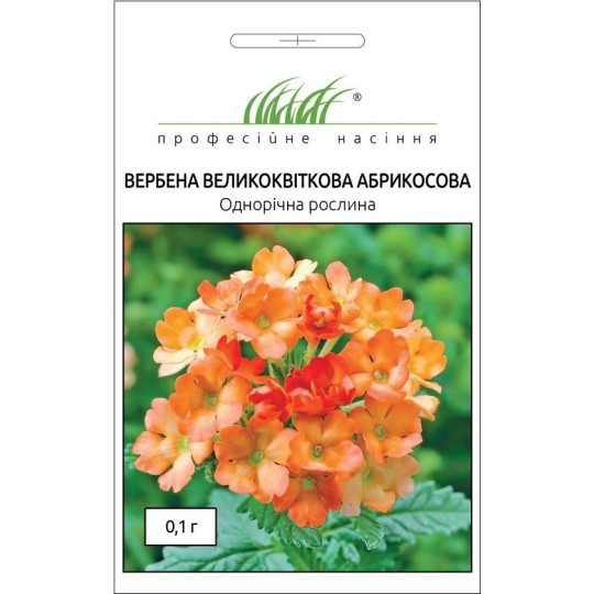 Насіння квіти Вербена абрикосова Професійне насіння 0.1 г