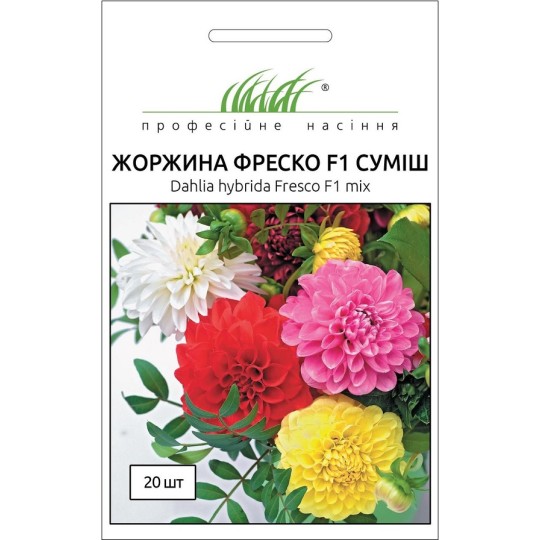 Насіння Жоржина Фреско F1 суміш Професійне насіння 10 штук