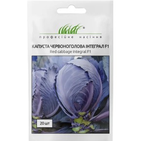 Насіння капуста червоноголова Інтеграл F1 Професійне насіння 20 штук