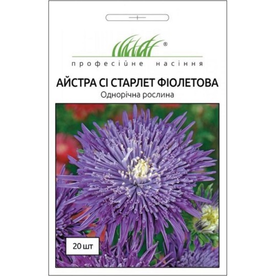 Семена Астра Си Старлет фиолетовая Профессиональные семена 20 штук