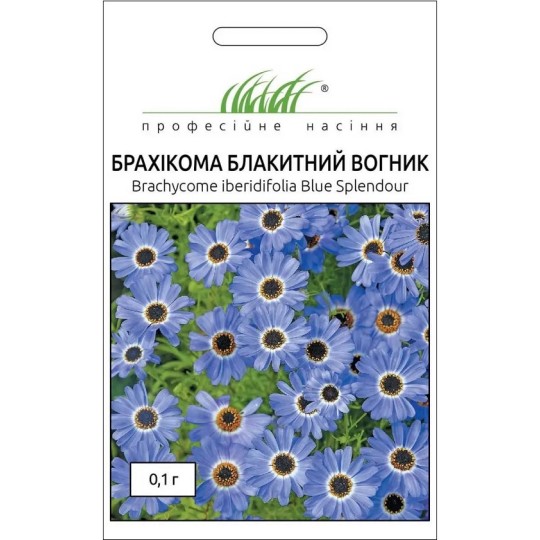 Насіння Брахікома Блакитний вогник Професійне насіння 0.1 г