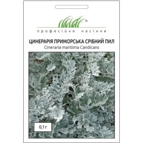 Семена Цинерария приморская Серебряная пыль Профессиональные семена 0.1 г