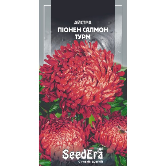 Семена Астра Пионен Салмон Турм Seedera 0.25 г