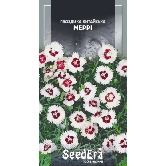 Семена Гвоздика китайская Мерри Seedera 0.2 г