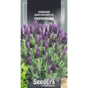 Семена цветы Лаванда французская Широколистная пурпурная Seedera 0.1 г