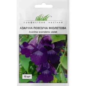 Насіння квіти Азаріна повзуча фіолетова Професійне насіння 10 штук