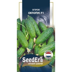 Насіння огірок Октопус F1 PROFI Seedera 20 штук