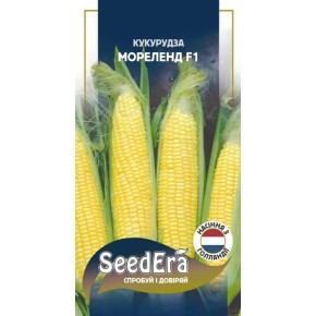 Насіння кукурудза цукрова Мореленд F1 Seedera 20 штук