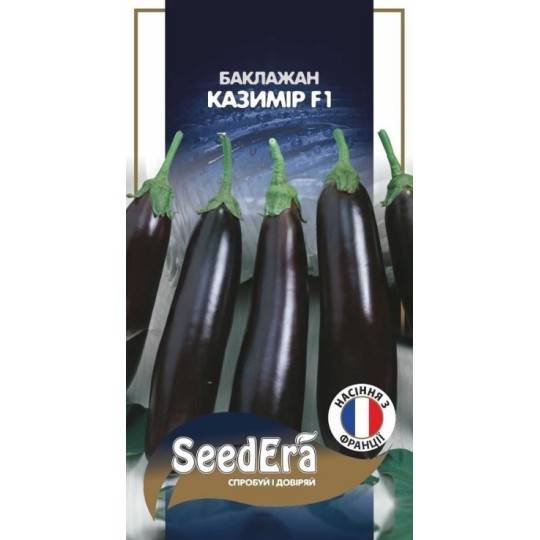 Насіння Баклажан Казимір F1 PROFI Seedera 10 штук