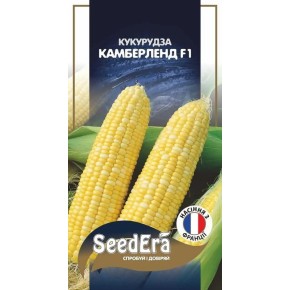 Насіння Кукурудза цукрова Камберленд F1 PROFI Seedera 20 штук