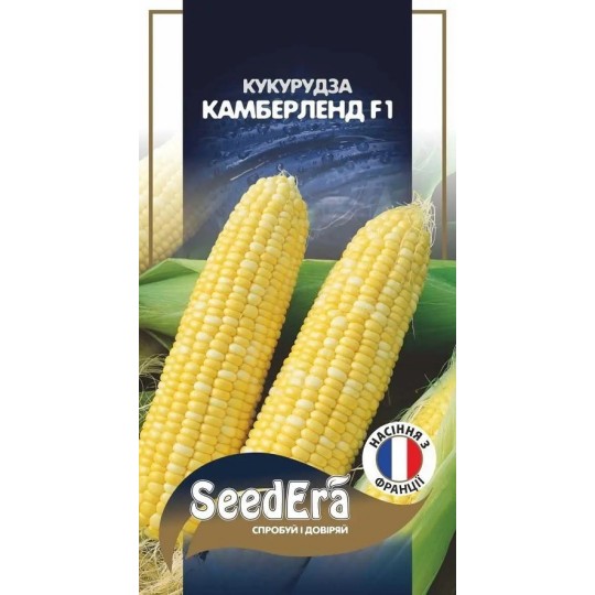 Семена Кукуруза сахарная Камберленд F1 PROFI Seedera 20 штук