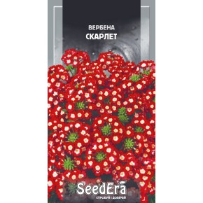 Насіння квіти Вербена гібридна Скарлет Seedera 0.2 г