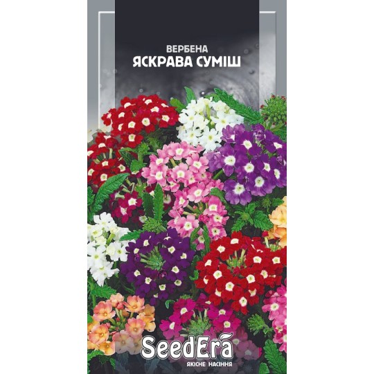 Семена цветы Вербена гибридная Яркая смесь Seedera 0.2 г