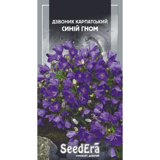 Семена цветы Колокольчик карпатский Синий Гном Seedera 0.1 г