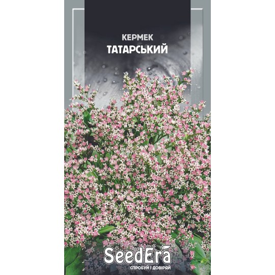 Семена цветы Кермек татарский многолетний Seedera 0.1 г