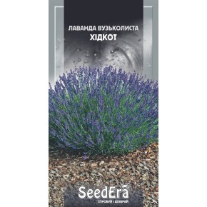 Семена цветы Лаванда Английская узколистная Хидкот Seedera 0.1 г