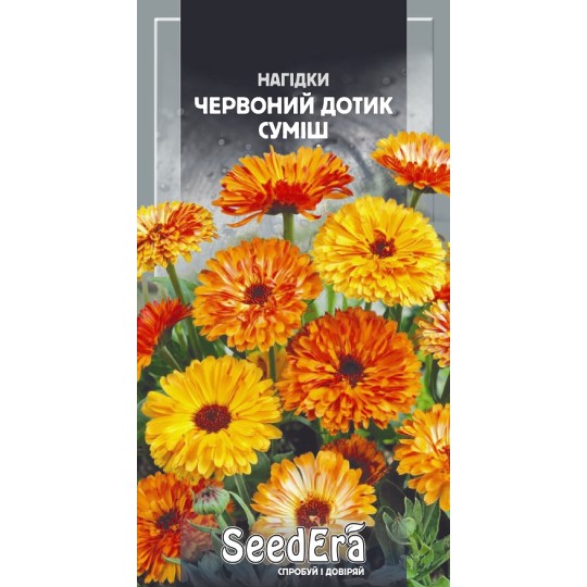 Семена цветы Календула Красное прикосновение смесь Seedera 1 г