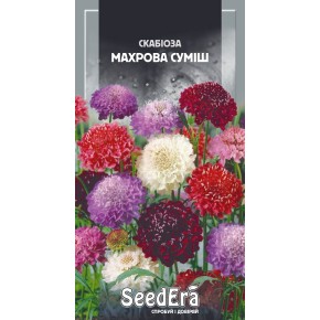 Семена цветы Скабиоза низкорослая махровая смесь Seedera 0.1 г