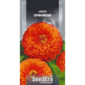 Семена цветы Циния высокорослая элегантная Оранжевая Seedera 0.5 г