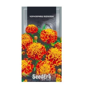 Семена цветы Бархатцы отклонённые Испанская парча Seedera 0.5 г