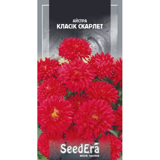 Насіння квіти Айстра Класік Скарлет Seedera 0.25 г