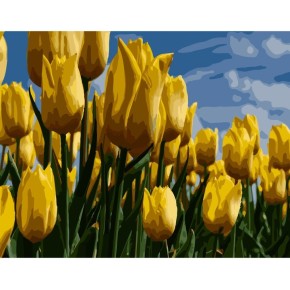 Набор для росписи по номерам Поле желтых тюльпанов Strateg размером 40х50 см (GS260)