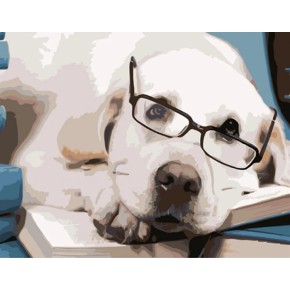 Картина за номерами Собака в окулярах Strateg 40х50 см (HH089)