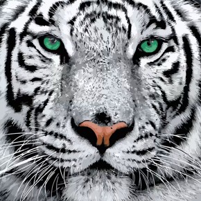 Картина по номерам Strateg Белый тигр 40х40 см SK023