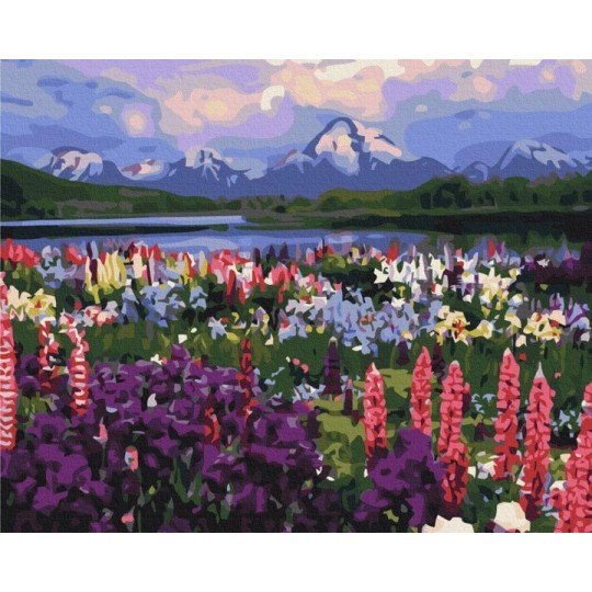 Картина по номерам Долина полевых цветов 40х50 см BS21019