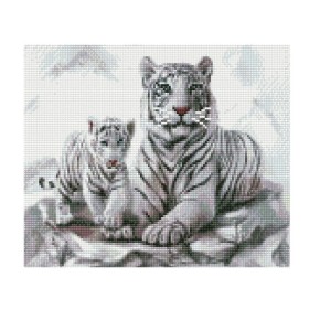 Алмазная мозаика по номерам Белые тигры 30х40 см HX011