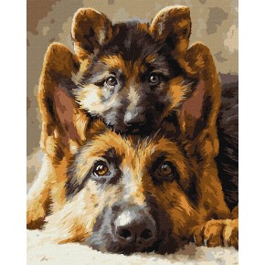 Картина по номерам Ideyka Вместе всегда 40х50 см (КНО6944)