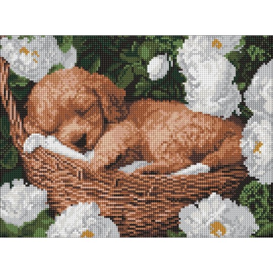 Алмазна мозаїка Ideyka Сплячий пудель 30x40 см (AMO8170)
