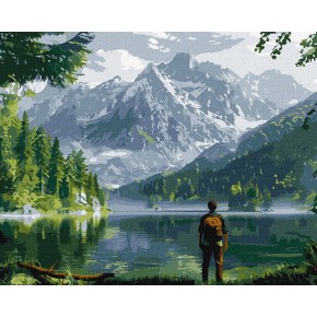 Картина по номерам Ideyka Горный пейзаж 40х50 см (КНО2902)