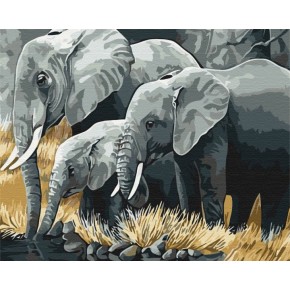 Картина за номерами: Сім'я слонів 40*50 BS3810
